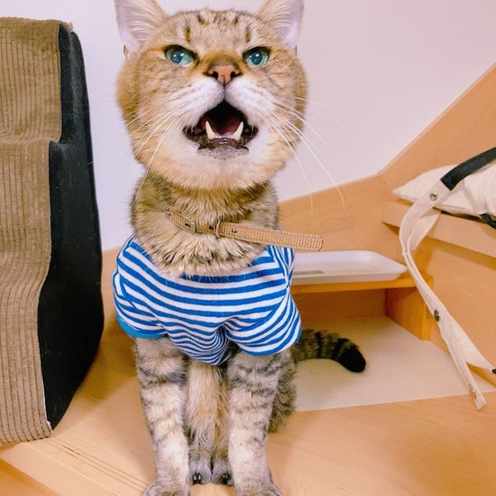 4d4c0664 f5b4 4205 b37d ca3e1e525d8a 1697718887730