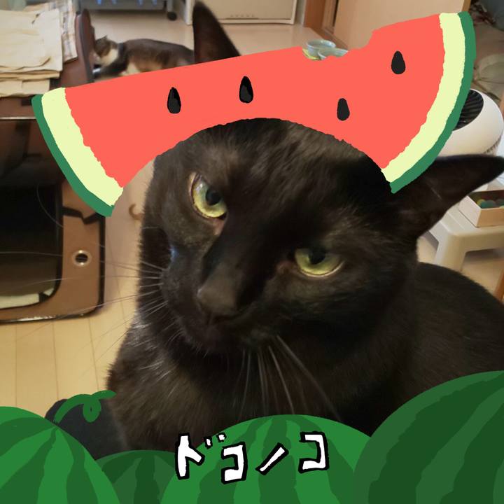 4d4c094a 669c 4493 a089 4f402976b5ab 1720829665108