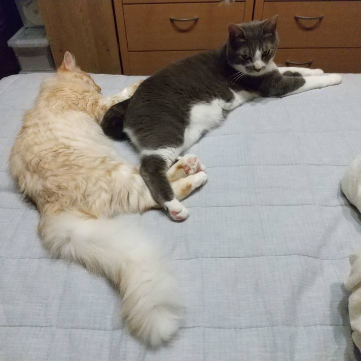 4d4c3a27 f6c8 4c54 a6b2 dfae50987805 1620130874838