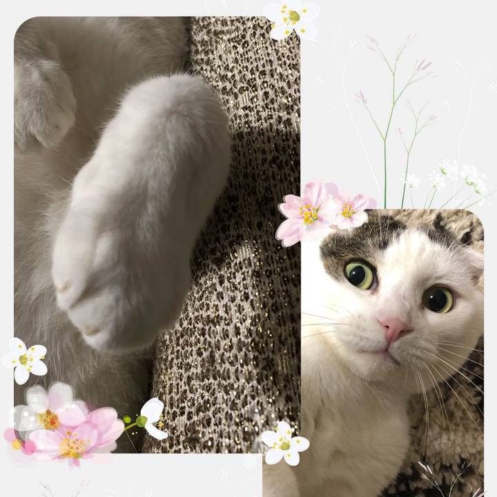 4d4c4584 0cf2 4ece bc29 2bddab1740f9 1596273577156