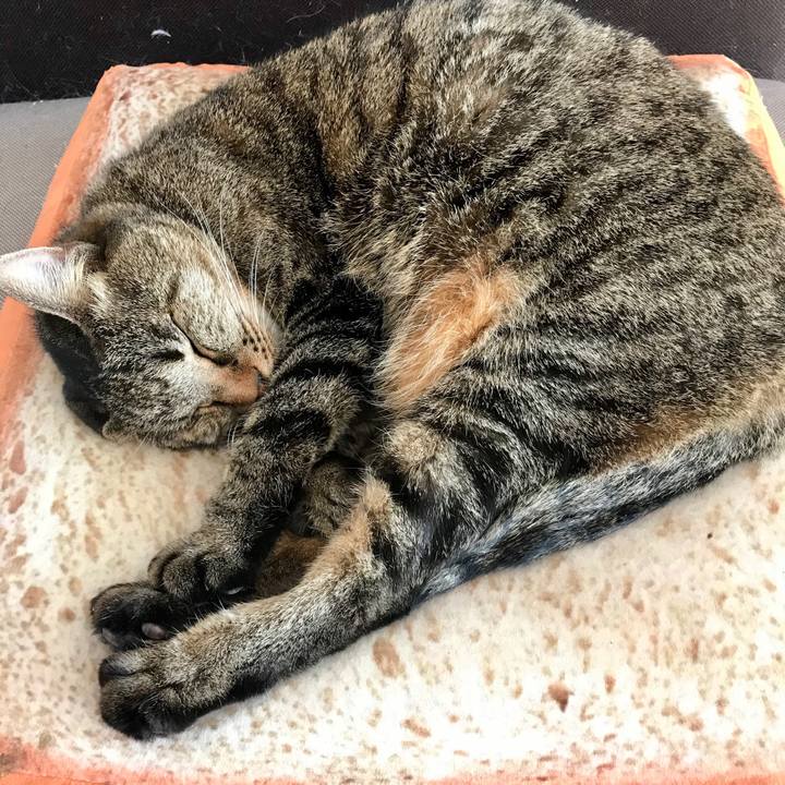 4d4c8903 dafc 4216 8a66 d0ee5c0c8812 1581164144337