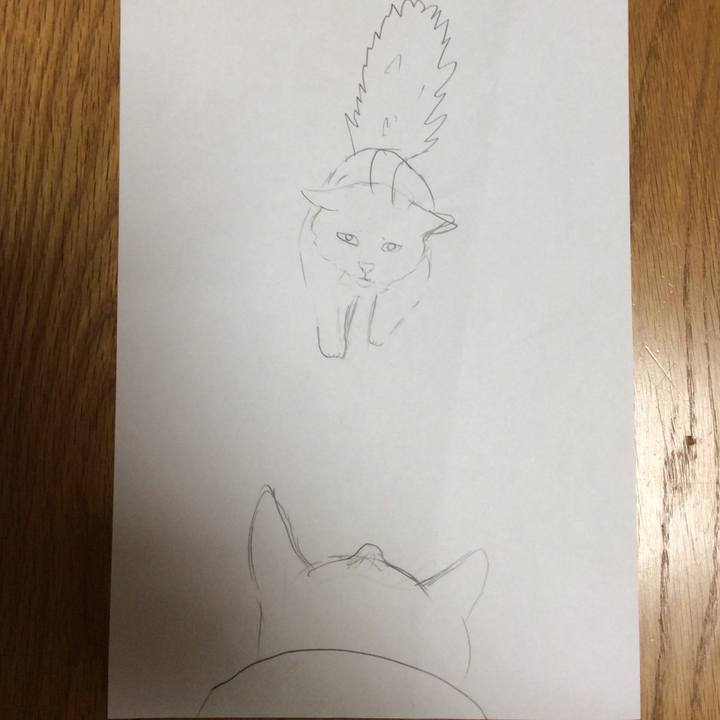 4d4c8f00 4074 426d b986 92ffaebf7103 1571495192949