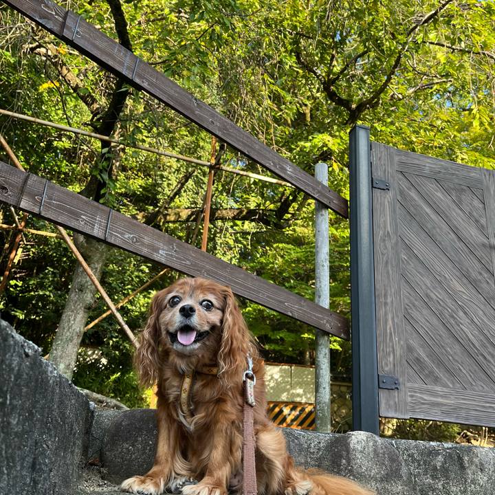 4d4cb629 9691 40fe a135 32493318baa9 1759289434286