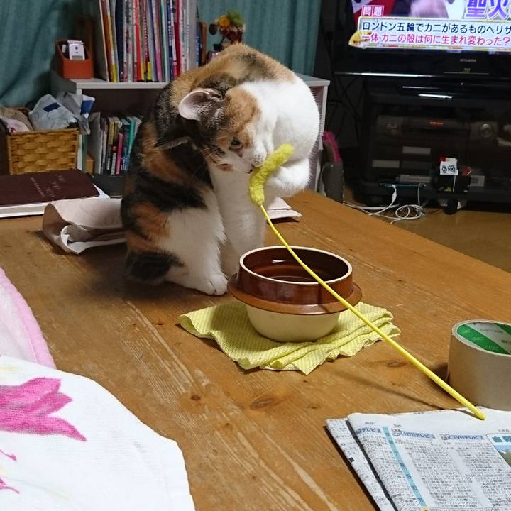 4d4ccc99 10f8 4dfa 89cd 0c9cdbf00da6 1514815257650