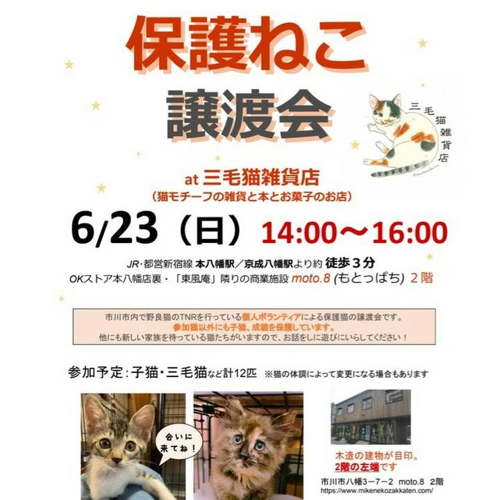 4d4cd4e5 9bd4 4983 88bc aa63db91b3b0 1561030645580
