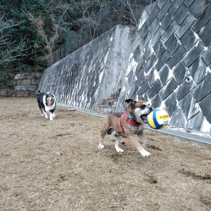 4d4ce215 a3c4 41a3 bed4 7db84e8e8840 1515402482401