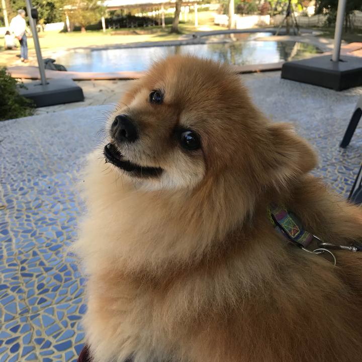 4d4ce41c 0402 4fea a4fc f53ed9a09b64 1541246441938