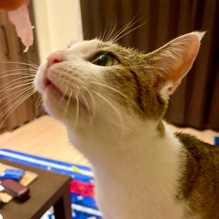 4d4d021a a7a0 417e 8b09 62c61c4b0423 1629030078402