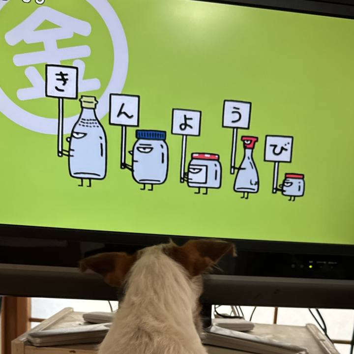 4d4d97da 4b69 4c83 a416 b5c4ed83b448 1764282237596