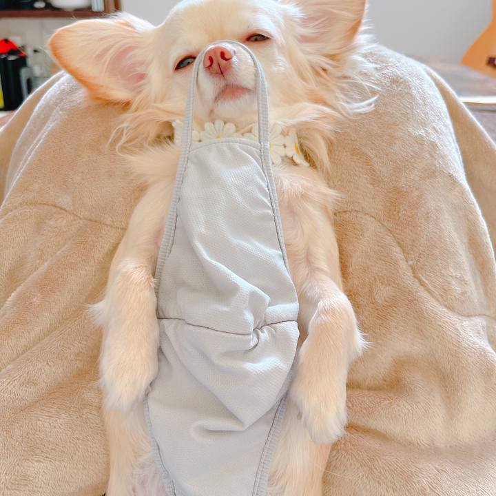 4d4da539 110f 4f60 a33d 06b5032b7725 1649325647935