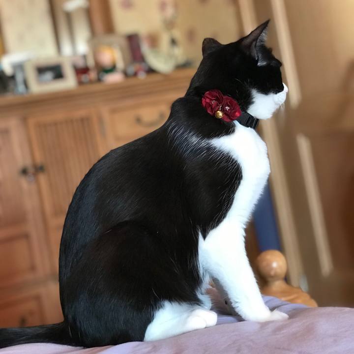 4d4daf7a 3a25 4c8b 80bb c897f647db23 1550447593558