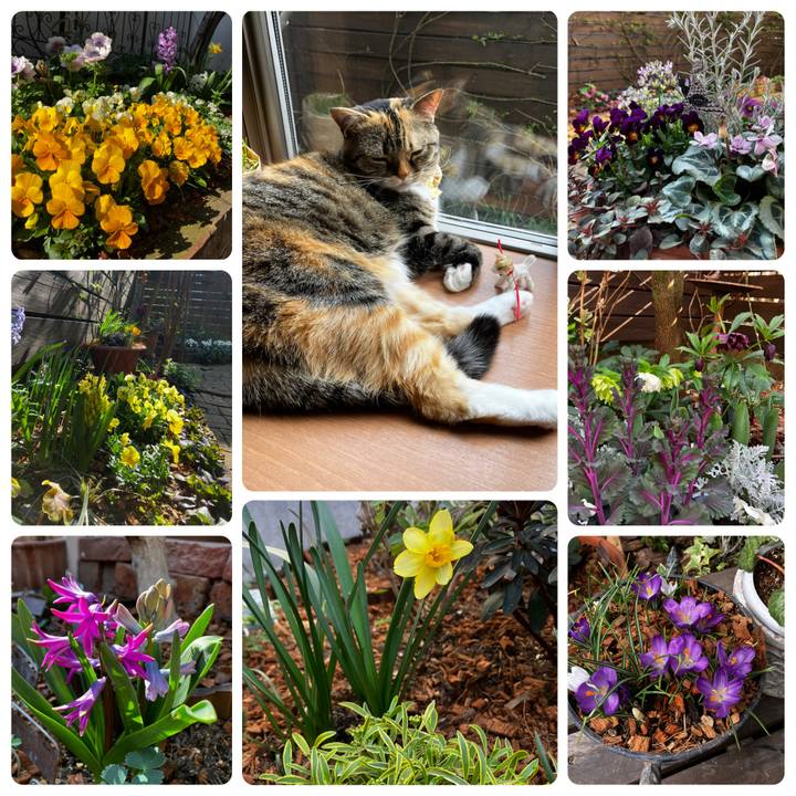 4d4ddc72 7e75 4047 92b7 6a3d29914910 1773737021009