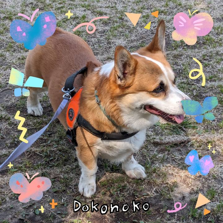 4d4dfdd2 db76 4a82 835d 8f05d1f877c0 1711065784367