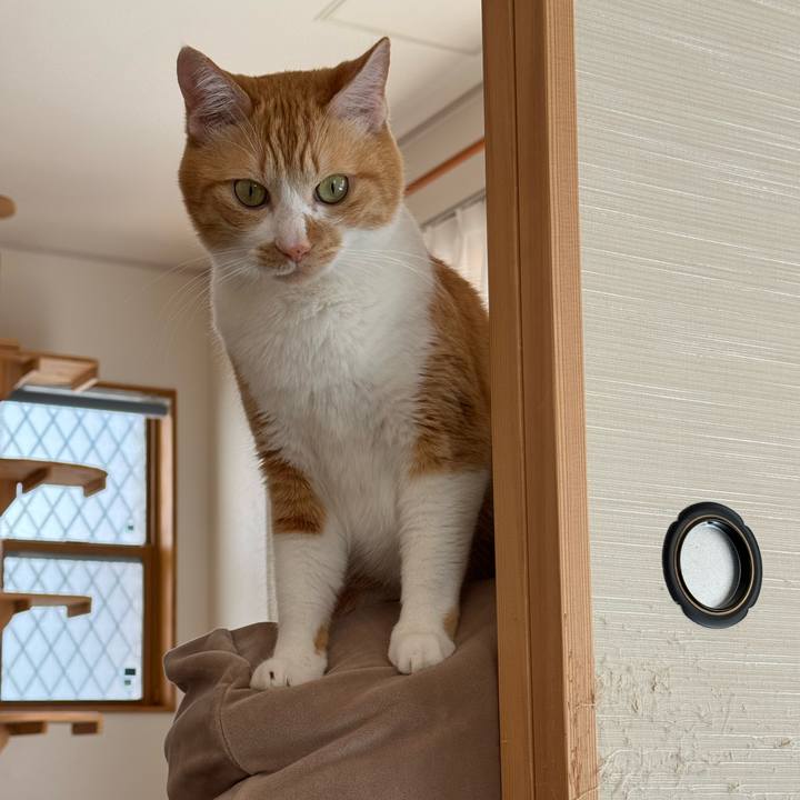 4d4e0866 31a1 4ae8 8047 293ed43b2716 1773836134523