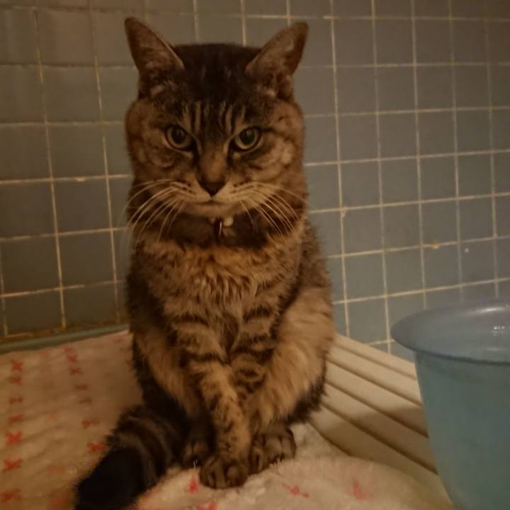 4d4e2104 9bcb 44e0 9b94 23163f8ccd1a 1577265912447