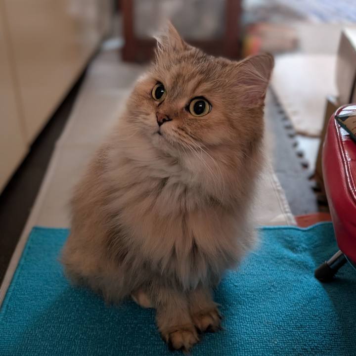 4d4e228c b9fe 4288 8b2b 4124b72afd82 1758808820553