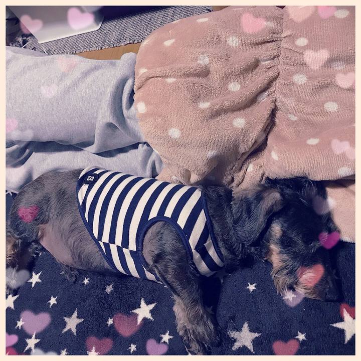 4d4e2b36 813c 418d 89a1 386b4a62af82 1512910473577