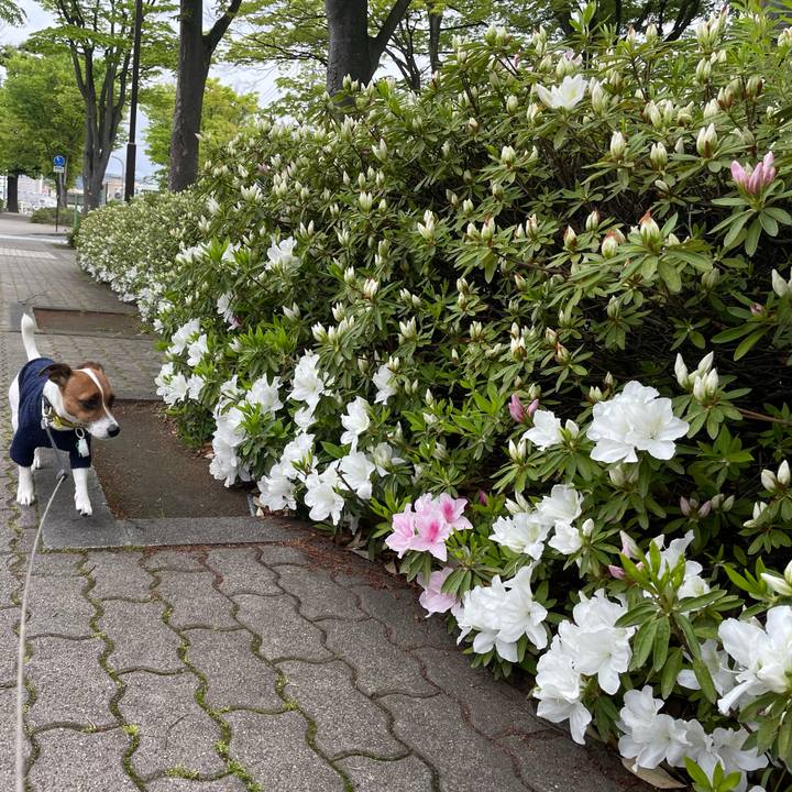 4d4e31e9 cc38 48e5 bea7 97a891f72849 1651373126368