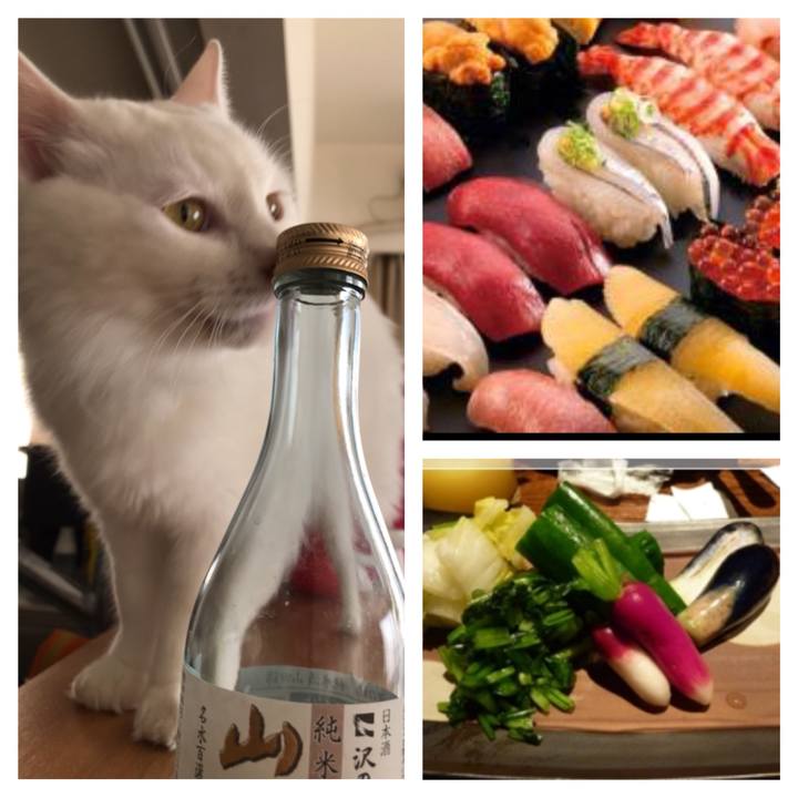 4d4e653c 0857 408c 8691 cad89513643d 1528635255686