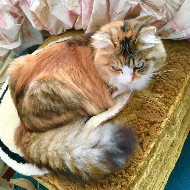 4d4e87eb 7b0a 4a56 9fe8 5d92be4f4b5f 1555711203017