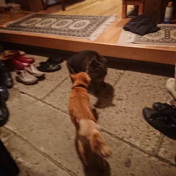 4d4e9337 91d3 40c9 ad3a 451941775bbf 1654427291599