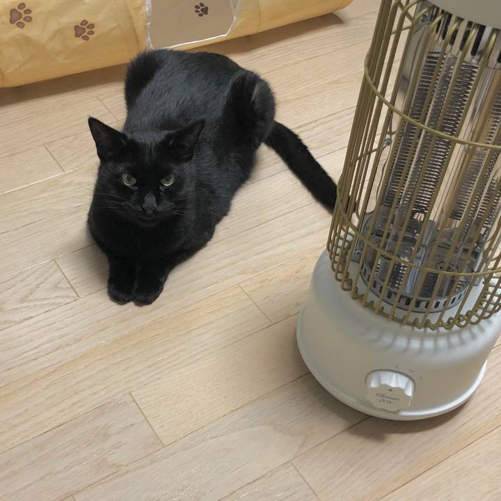 4d4eab64 1309 416a bbc5 43dc145b58ed 1607782810980