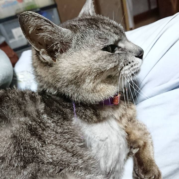 4d4ecd61 499f 44a6 8cd3 a04502ed628b 1592680969865