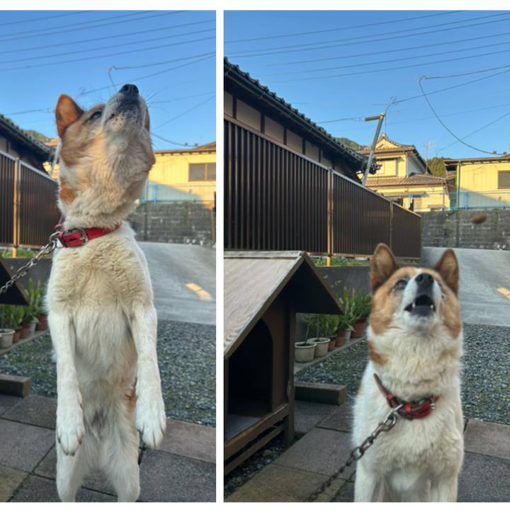 4d4eed4e 35a1 4828 a033 df4a1bafebff 1762207006342