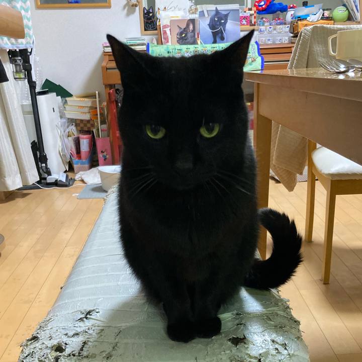 4d4ef429 959c 4b79 b605 aac95b53f15f 1772353564770