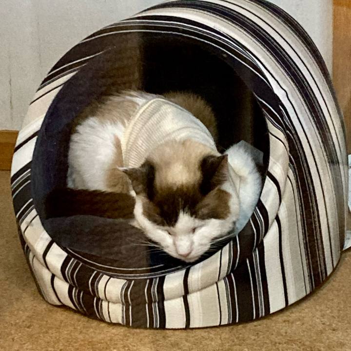 4d4f04ae 3f38 4fac b422 b88dc66f50ab 1677408537459