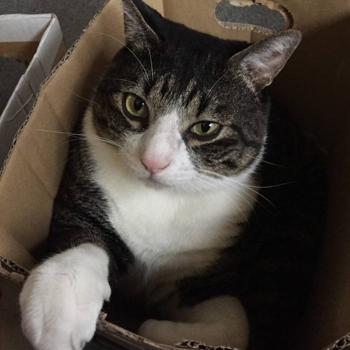 4d4f285c b5bf 4b5d 8be3 ee267d6dcb9f 1508556310637