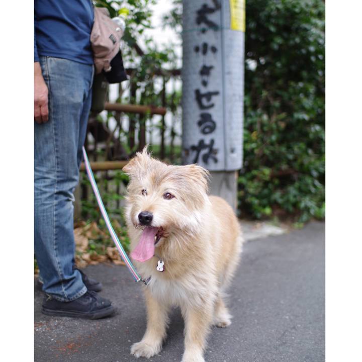 4d4f2af9 101a 4c2e b9d2 61d26132d752 1617580739301