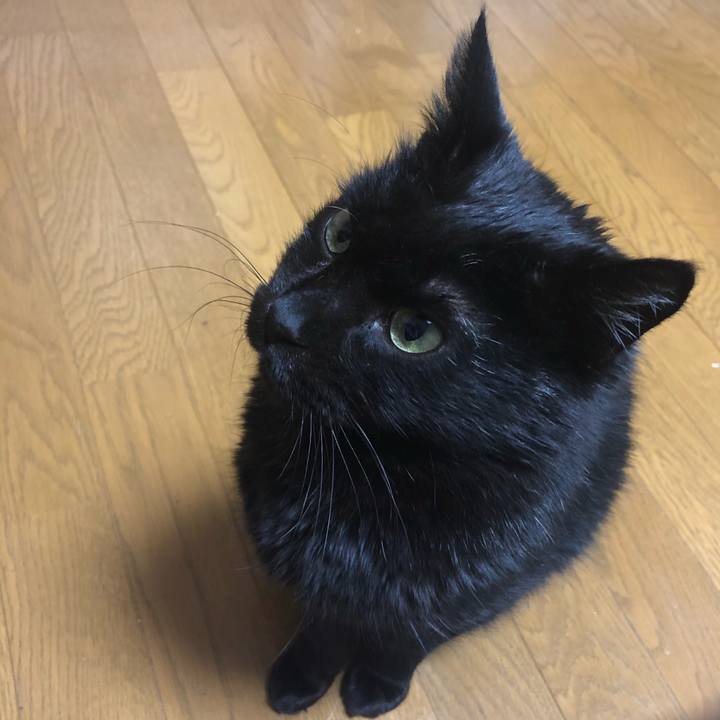 4d4f857d fb40 4945 b5bb 00c20eafcd7c 1609849240803