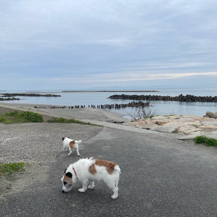 4d4feb90 d00f 44d3 a24c c3c0c4c66309 1746487519341