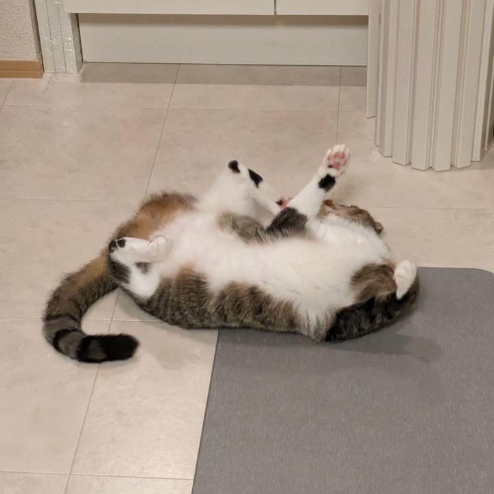 4d4febff ae4d 407a 9826 a394eb4cbc13 1697638770469