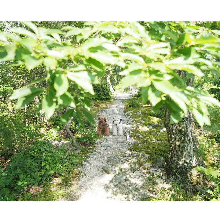 4d500adc 3688 4328 b3a9 e1bafe80b635 1590923854278