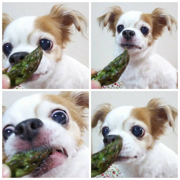 4d503bcf 3343 4bee b93c 599bfcadd8e6 1590751065132