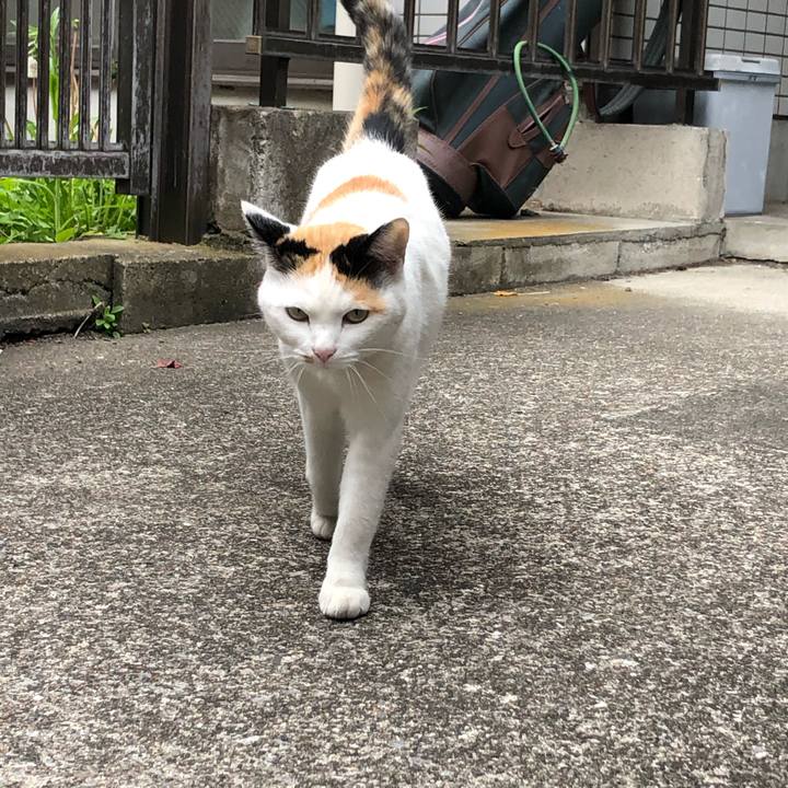 4d503f1c e84c 4e6e 855d ff85d3e9fa98 1589716176737