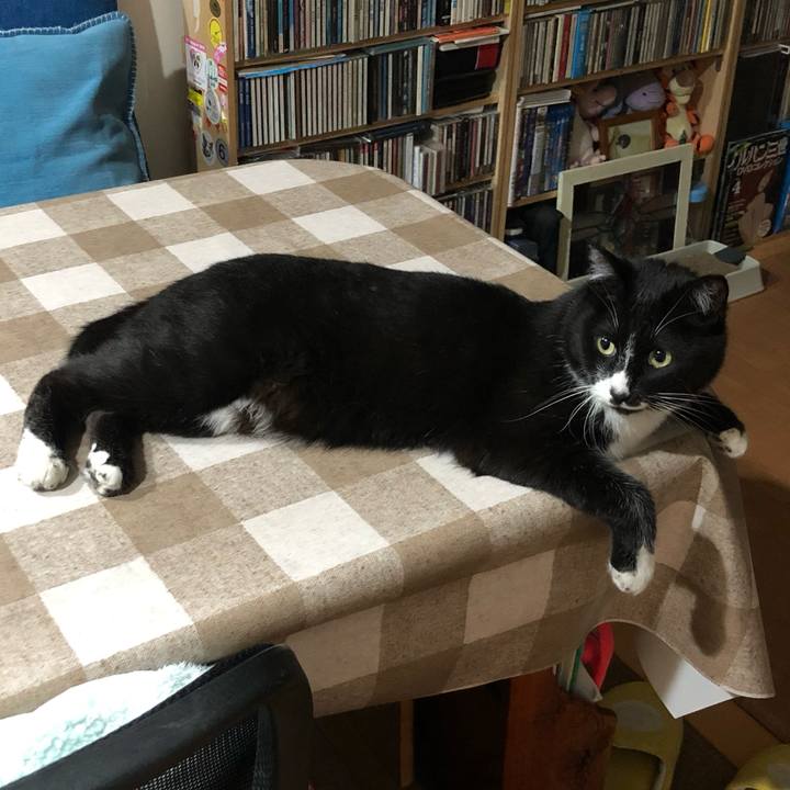 4d504422 c106 492f 9621 0e171eb5864b 1559274213069