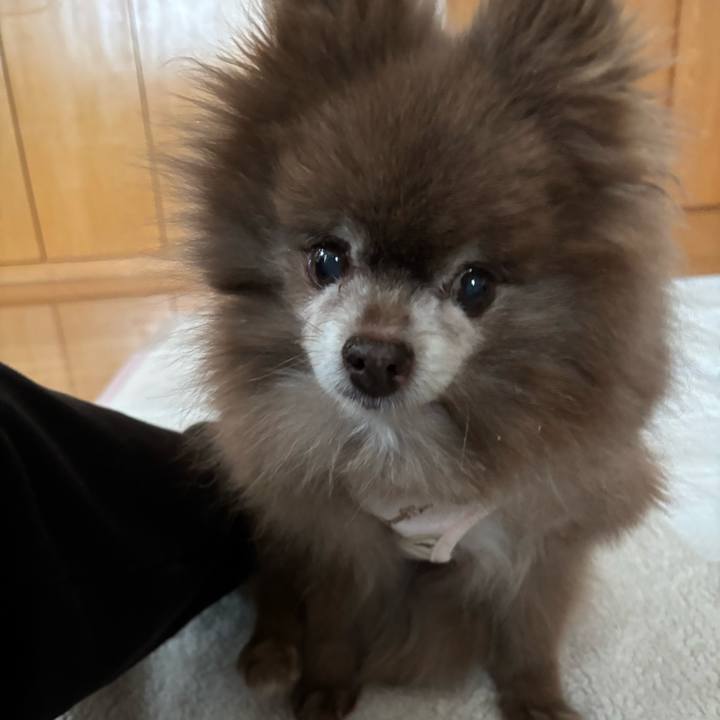 4d504d6a 297a 4bb8 9fa3 21c81907f83a 1768098646323