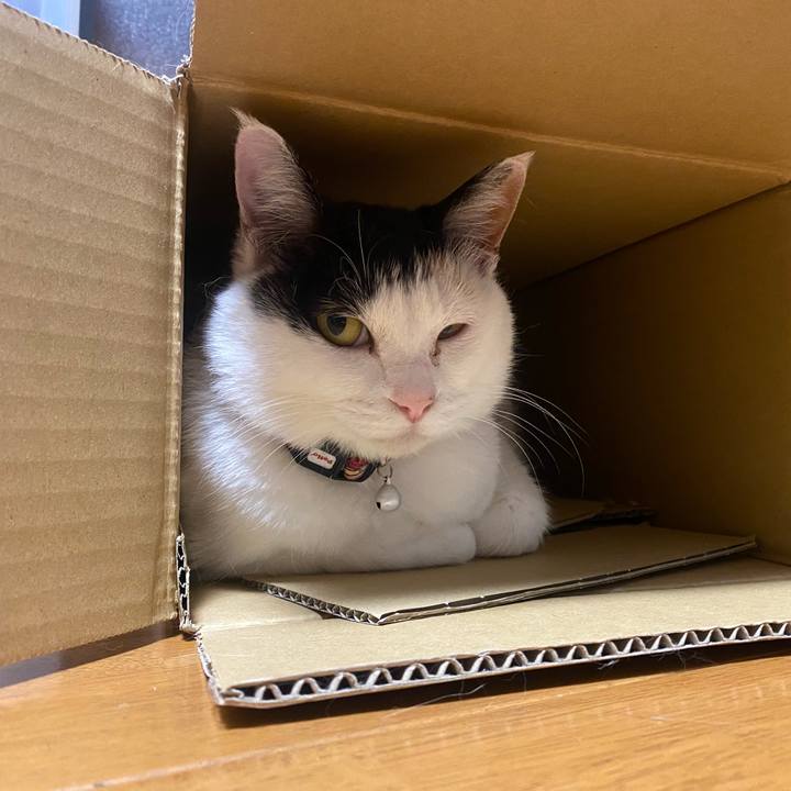 4d50571d 0ca3 4d34 9a26 359760e651b3 1652541292803