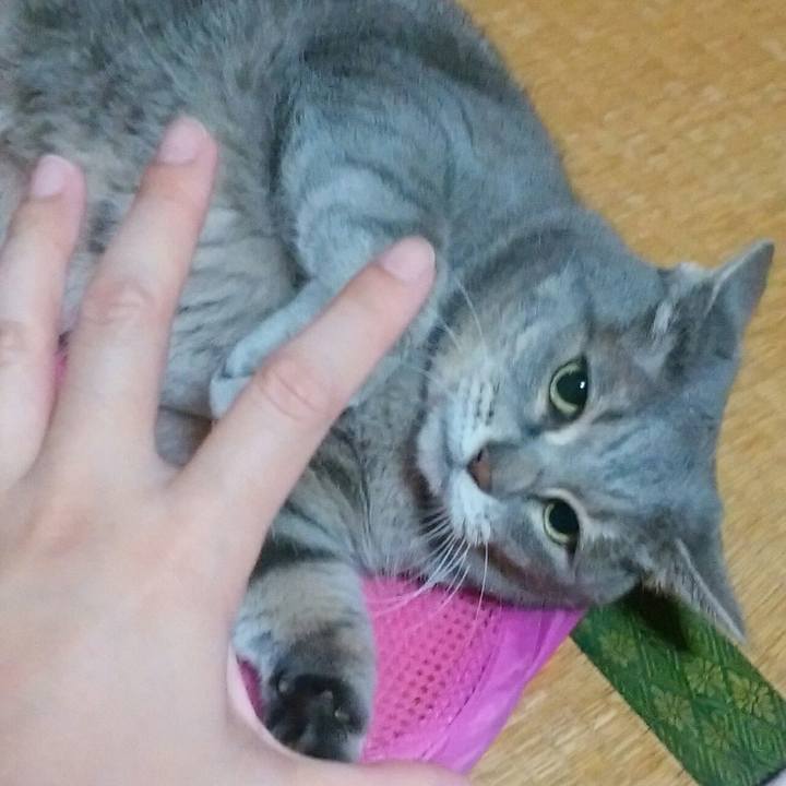 4d508497 bf3c 4e02 aab8 9e9a63ba41c6 1540825723456