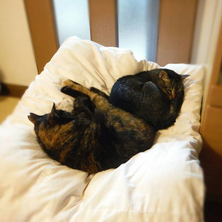 4d50a10b 7cf7 4165 965a 3c12d1ad3a5c 1563071407094