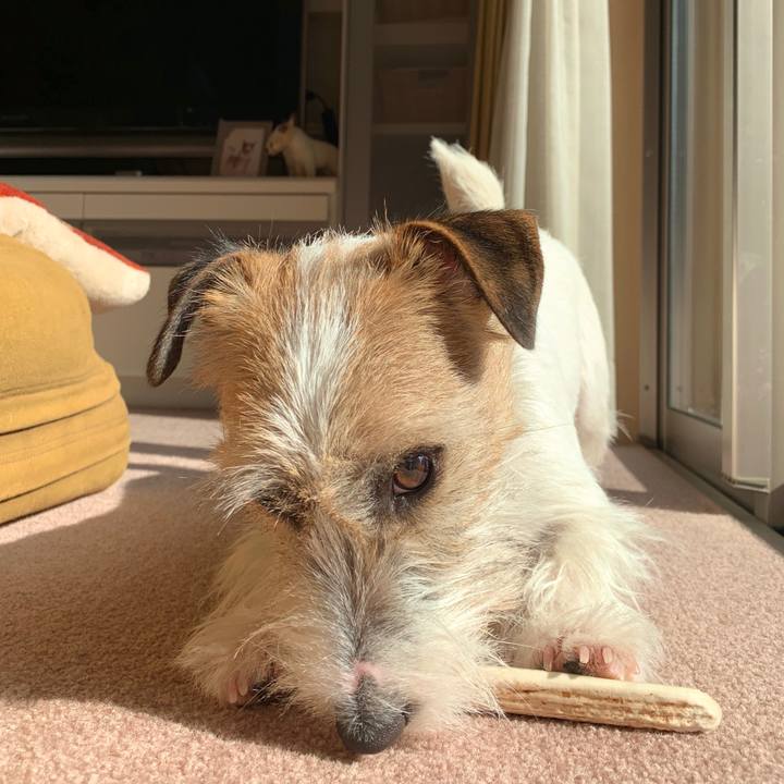 4d50bdbf 1d65 44cf ad06 38a36e174825 1581053583858