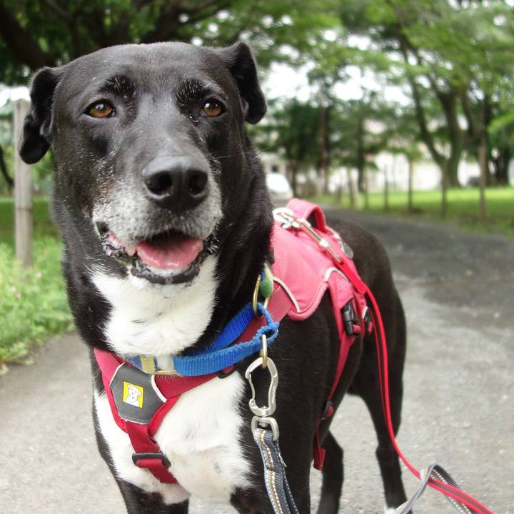 4d512453 8044 4802 ae6d df73ac2a2a7f 1687740212102