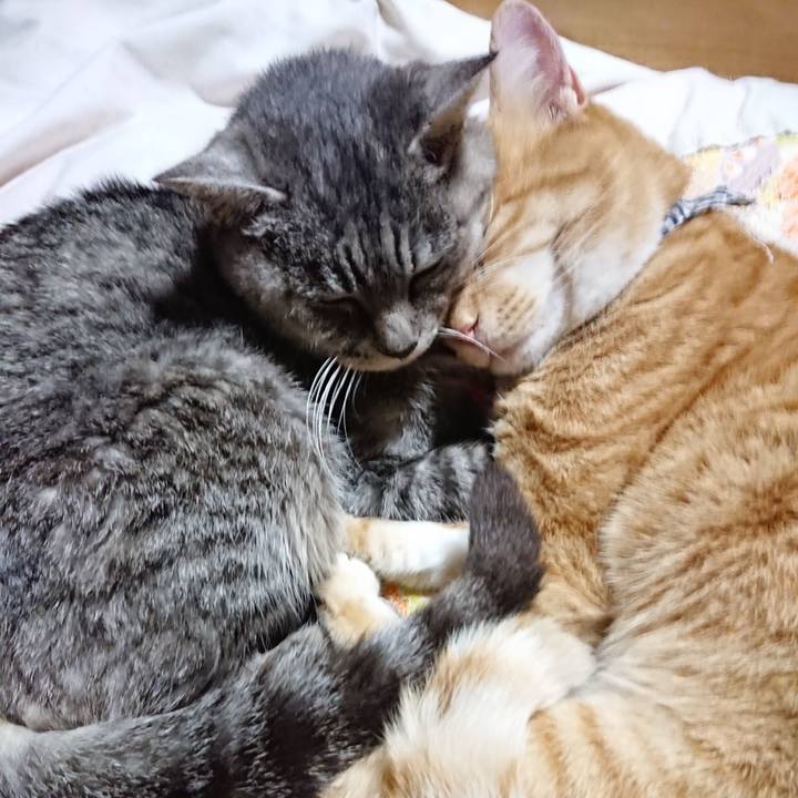 4d514edc 1a98 458c 92b0 5a6e8b18dfa8 1573995771006