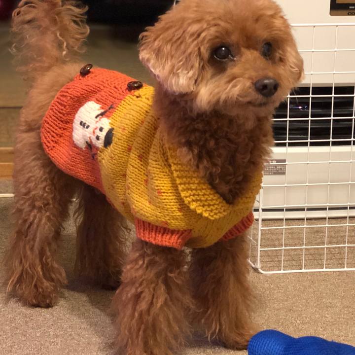 4d516e30 0090 41d4 bf33 04b79adaf49f 1544613937132