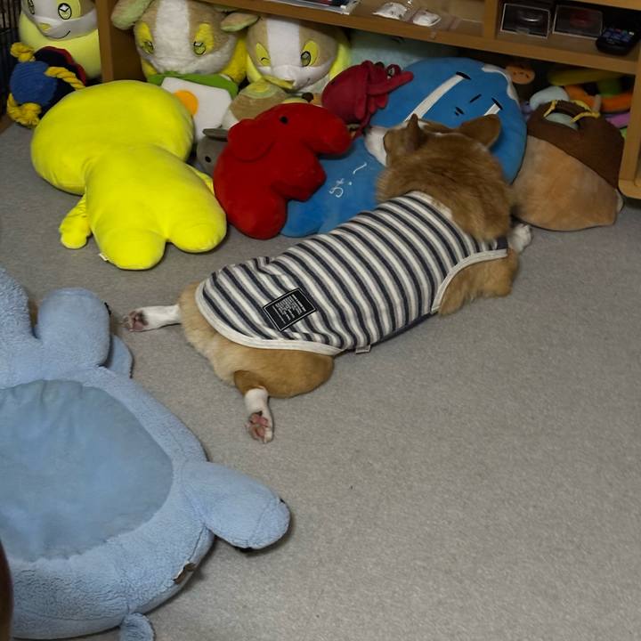 4d519471 451e 4699 83cb 375a1d623773 1762384842385