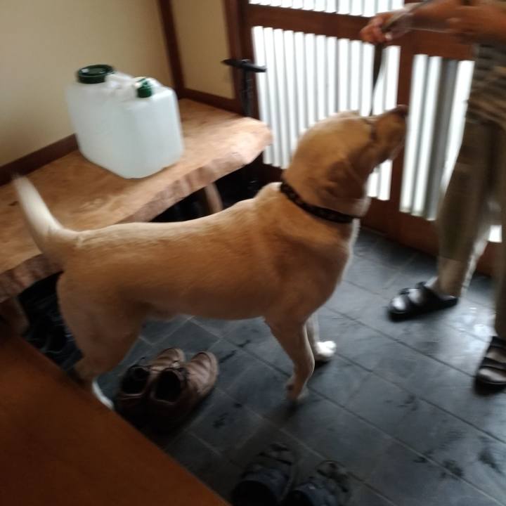 4d519d88 d624 4fc1 b910 c668da2aadb7 1625115949932