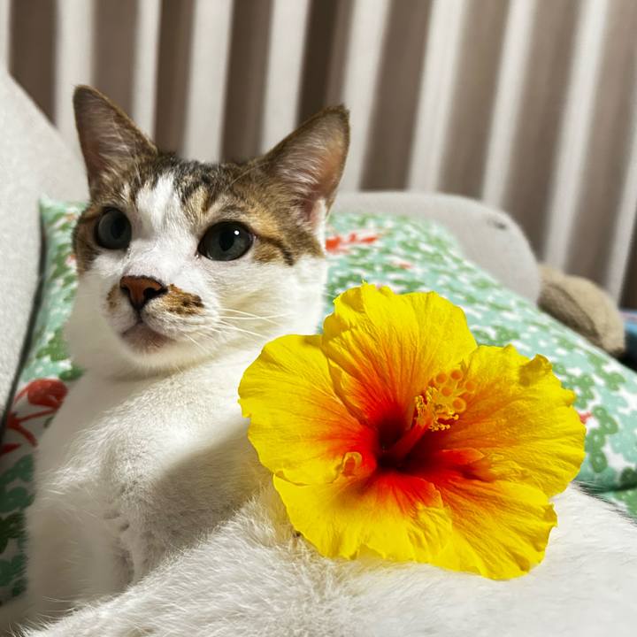 4d52313b 891f 431a 8ce2 7c3611db5a6f 1759838161179